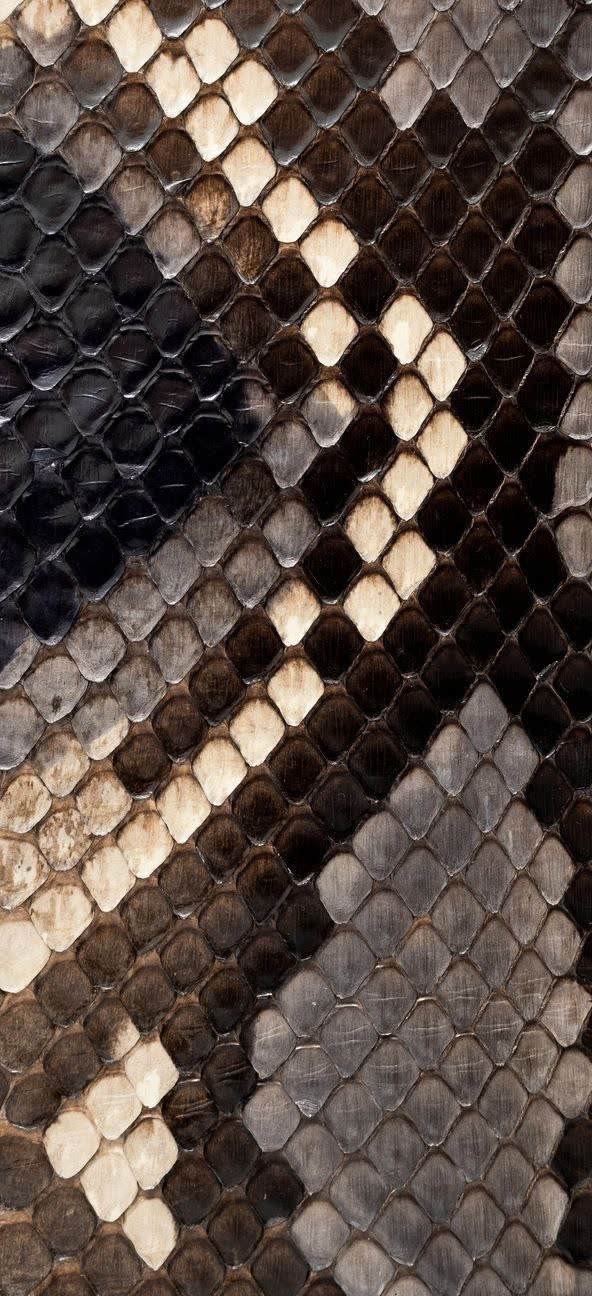 Natural python leather with distinctive overlapping scale pattern